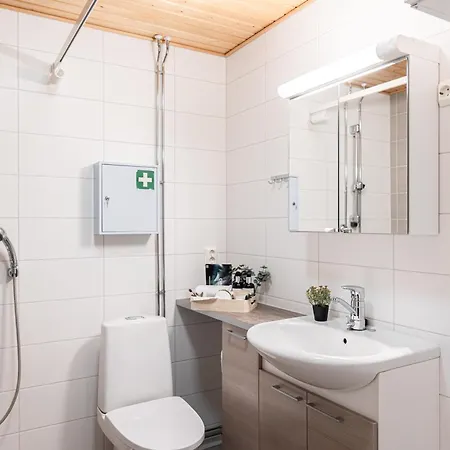 Modern Aurora Apartment With Sauna By Booklapland *