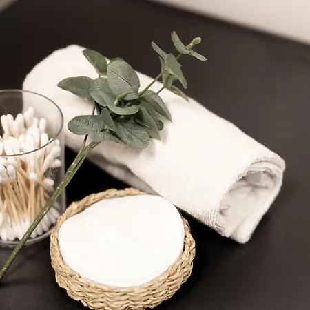 Modern Aurora With Sauna - By Book Lapland רובניימי